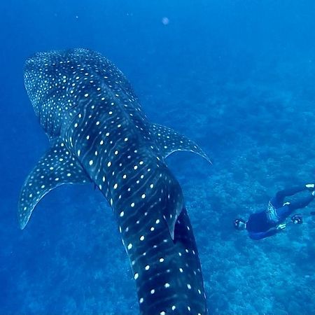 Ufa Escape Hotel Dhigurah  Luaran gambar