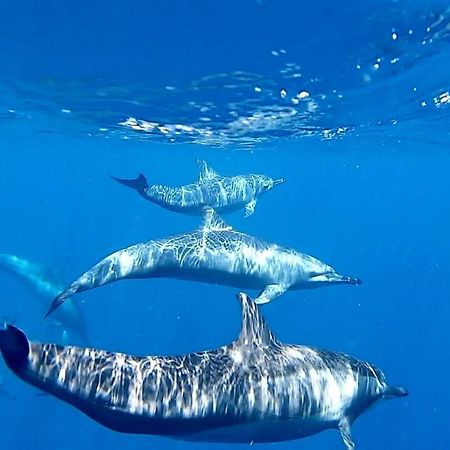 Ufa Escape Hotel Dhigurah  Luaran gambar