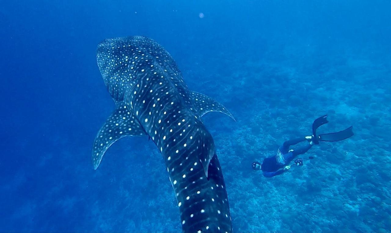 Ufa Escape Hotel Dhigurah  Luaran gambar