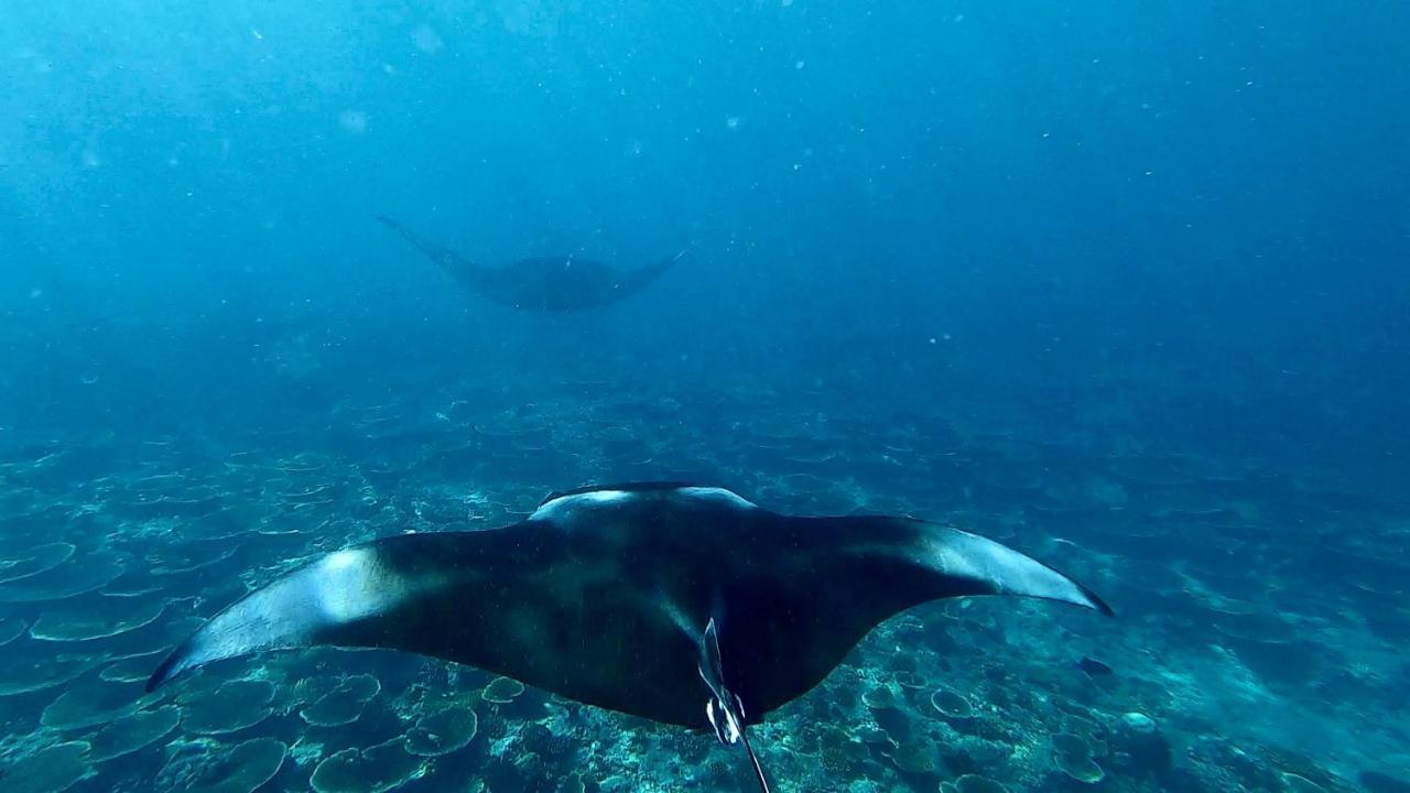 Ufa Escape Hotel Dhigurah  Luaran gambar