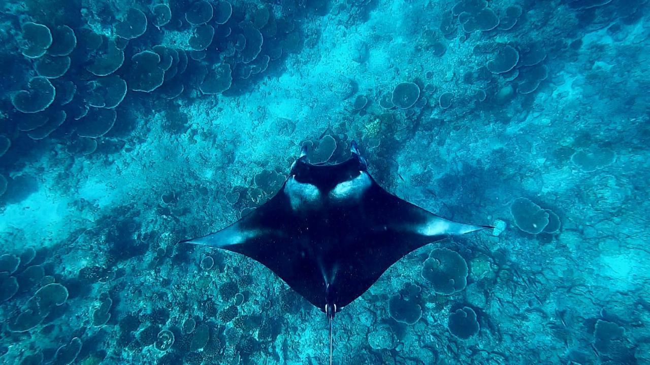 Ufa Escape Hotel Dhigurah  Luaran gambar